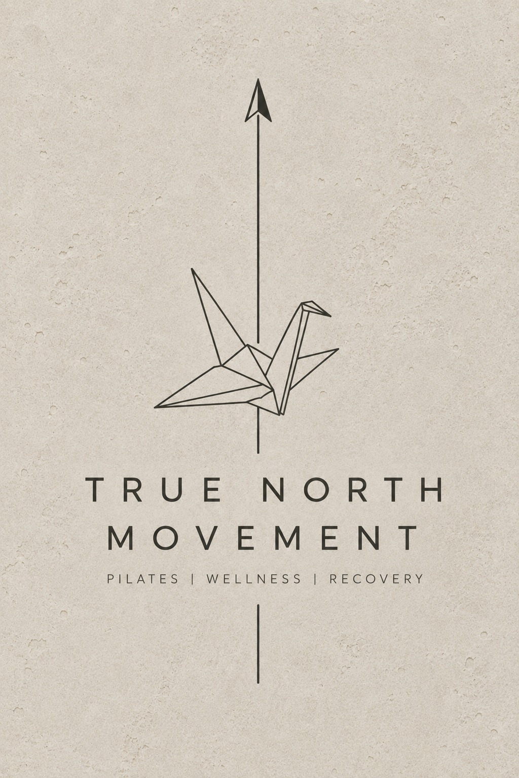 True North Movement Logo